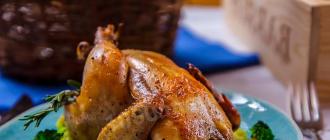 Рецепты приготовления цыплят-корнишонов в духовке Корнишоны запеченные
