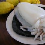 Лучшие блюда из каракатицы и рецепты их приготовления